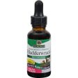 Nature s Answer Bladderwrack Thallus - 1 Fl Oz Sale