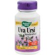 Nature s Way Uva Ursi Standardized - 60 Capsules on Sale