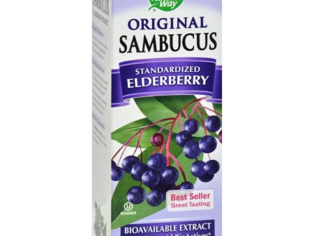 Nature s Way Sambucus Original Syrup - 8 Fl Oz For Sale