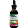 Nature s Answer Pleurisy Root - 2 Fl Oz Online