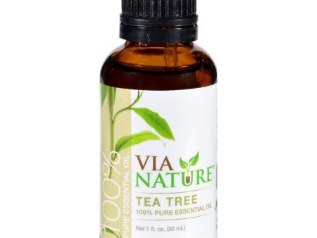 Via Nature Essential Oil - 100 Percent Pure - Tea Tree - Single - 1 Fl Oz Cheap