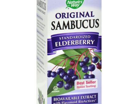 Nature s Way Sambucus Original Syrup - 4 Fl Oz Online