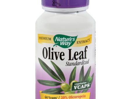 Nature s Way Olive Leaf Standardized 20% Oleuropein - 60 Vegetarian Capsules Online now