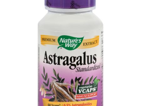 Nature s Way Astragalus Standardized - 60 Vegetarian Capsules Fashion