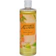 Nature s Alchemy 100% Pure Sweet Almond Oil - 16 Fl Oz Hot on Sale