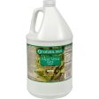 Natural High Aloe Vera Juice - 1 Gallon For Cheap