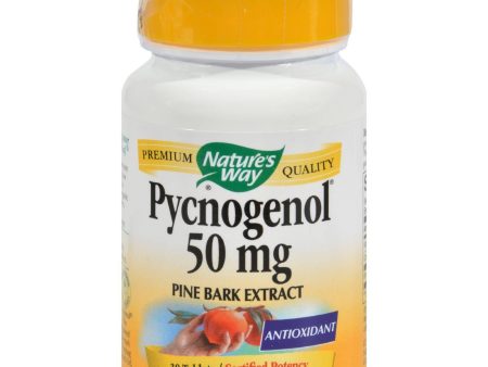 Nature s Way Pycnogenol - 50 Mg - 30 Tablets on Sale