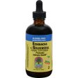 Nature s Answer Echinacea And Goldenseal - 4 Fl Oz Online Hot Sale