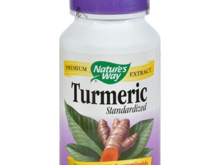 Nature s Way Turmeric Standardized - 60 Tablets For Discount