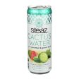 Steaz Cactus Water - Cucumber And Green Tea - Case Of 12 - 12 Oz. Cheap