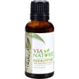 Via Nature Essential Oil - 100 Percent Pure - Eucalyptus - Single - 1 Fl Oz Online Hot Sale