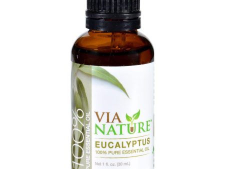 Via Nature Essential Oil - 100 Percent Pure - Eucalyptus - Single - 1 Fl Oz Online Hot Sale