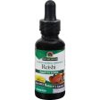 Nature s Answer Reishi Fruiting Body Alcohol Free - 1 Fl Oz Online Sale