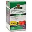 Nature s Answer Red Raspberry Leaf - 90 Capsules Hot on Sale