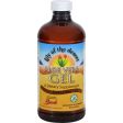 Lily Of The Desert Aloe Vera Gel - 16 Oz Online Sale