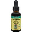 Nature s Answer Yellowdock Root - 1 Fl Oz For Cheap