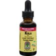 Nature s Answer Kola Nut - 1 Fl Oz Online Sale