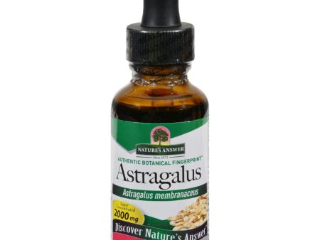 Nature s Answer Astragalus Root - 1 Fl Oz For Discount