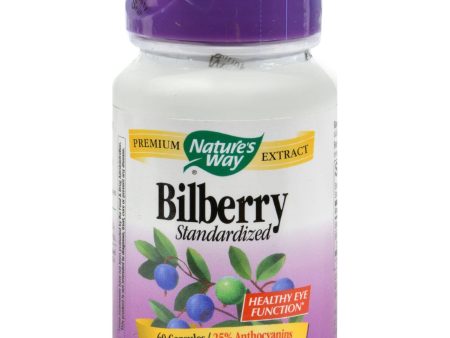 Nature s Way Bilberry Standardized - 60 Capsules For Sale