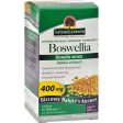 Nature s Answer Boswellia Extract - 90 Vegetarian Capsules Discount