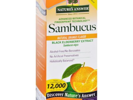 Natures Answer Sambucus - Original - Natural Orange Flavor - 8 Oz For Cheap