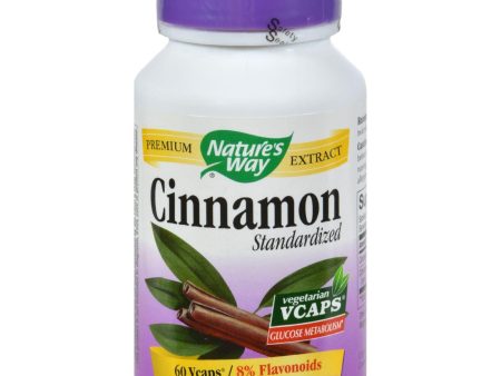 Nature s Way Cinnamon Standardized - 60 Vcaps Cheap