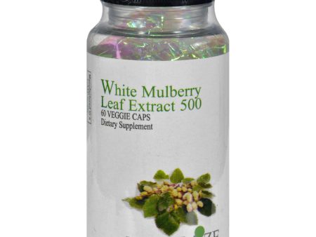 Maximum International White Mulberry Leaf Extract 500 - 60 Veg Capsules Online Hot Sale