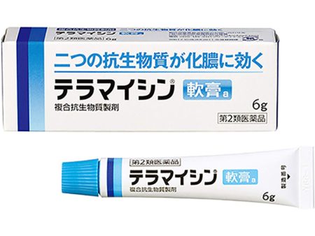 TERRAMYCIN Ointment A 6g Online Sale