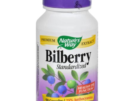 Nature s Way Bilberry Standardized - 80 Mg - 90 Capsules For Discount