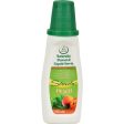 Stevita Flavors All Natural Flavored Stevia Peach - 1.35 Fl Oz Supply