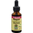 Nature s Answer Damiana Leaf - 1 Fl Oz For Cheap