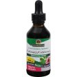 Nature s Answer Echinacea And Goldenseal - 2 Fl Oz Cheap