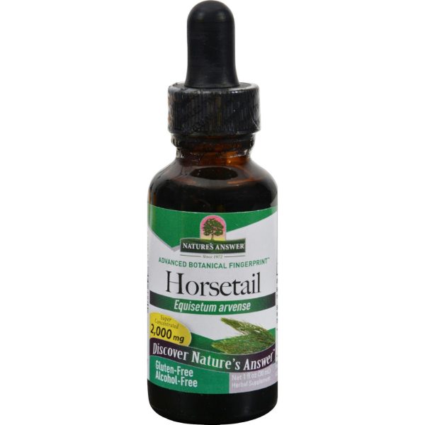 Nature s Answer Horsetail Herb Alcohol Free - 1 Fl Oz Online now