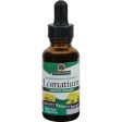 Nature s Answer Lomatium Root Alcohol Free - 1 Fl Oz Online now