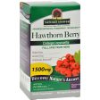 Nature s Answer Hawthorn Berry - 90 Vegetarian Capsules For Sale