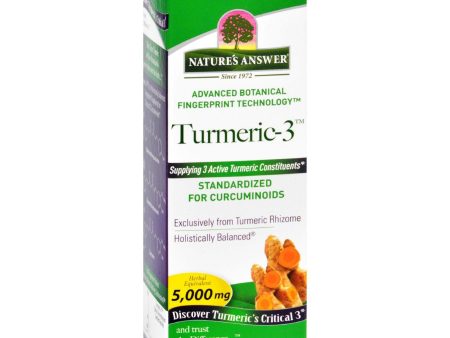 Natures Answer Turmeric-3 - Liquid - 1 Oz Online now