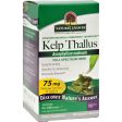 Nature s Answer Kelp Thallus - 100 Capsules Online