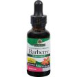 Nature s Answer Barberry Root - 1 Fl Oz Online Hot Sale