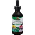 Nature s Answer Echinacea And Goldenseal Alcohol Free - 2 Fl Oz Online Sale