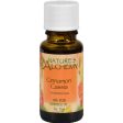 Nature s Alchemy 100% Pure Essential Oil Cinnamon Cassia - 0.5 Fl Oz For Sale