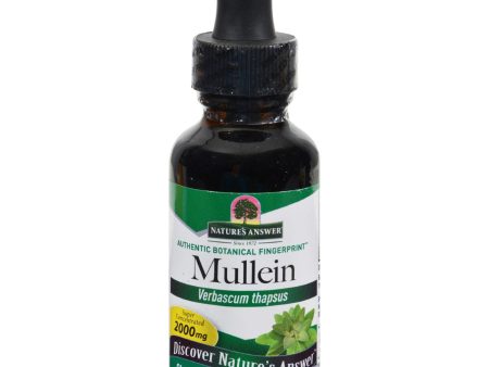 Nature s Answer Mullein Leaf Alcohol Free - 1 Fl Oz For Sale