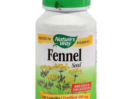 Nature s Way Fennel Seed - 100 Capsules For Cheap