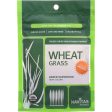 Navitas Naturals Wheat Grass Powder - Organic - 1 Oz - Case Of 6 Online now