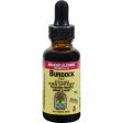 Nature s Answer Burdock Root - 1 Fl Oz For Cheap