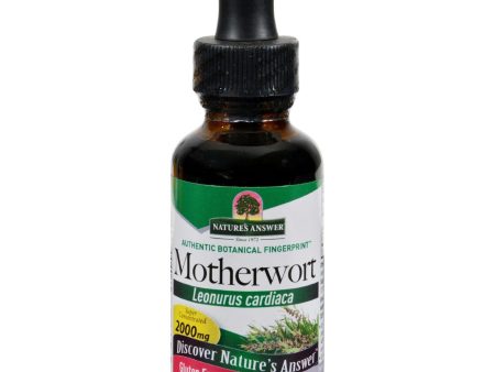 Nature s Answer Motherwort Herb - 1 Fl Oz Supply