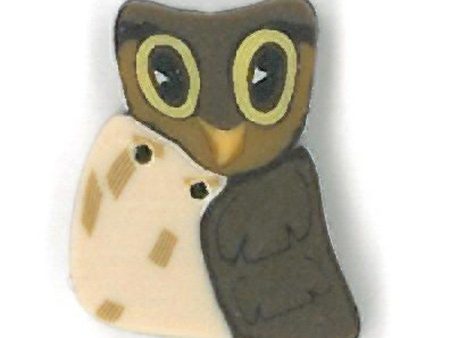 small owl Sale