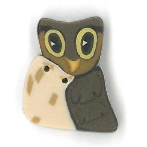 small owl Sale