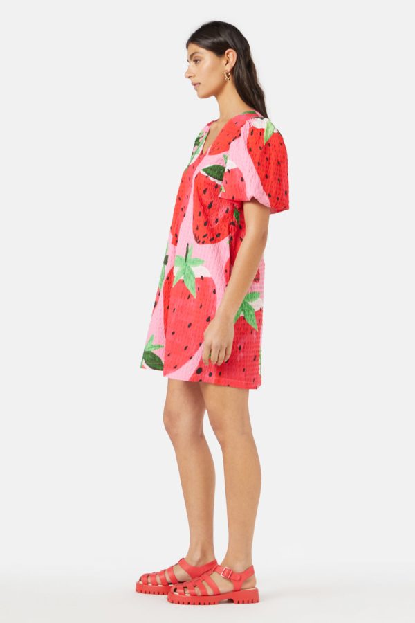 Strawberry Patch Smock Dress Supply