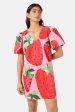 Strawberry Patch Smock Dress Supply