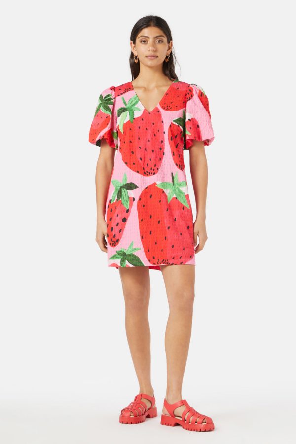 Strawberry Patch Smock Dress Supply